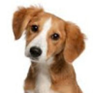 Meet your Posher, Kiley